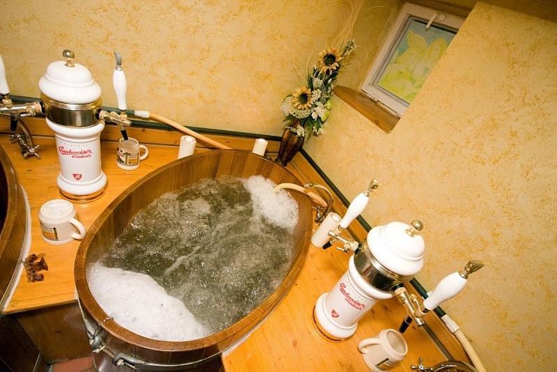 Wellness Hotel Bahenec المظهر الخارجي الصورة